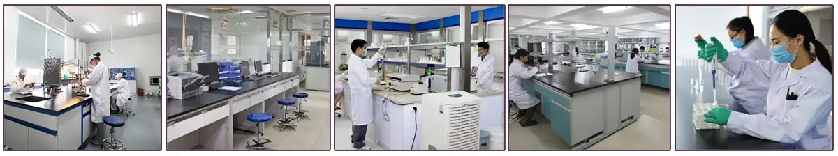 lab 13.jpg lab 13.jpg